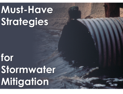Must-Have Strategies for Stormwater Mitigation