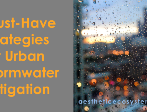 Must-Have Strategies for Urban Stormwater Mitigation