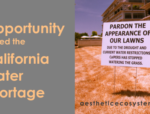 The Opportunity Called the California Water Shortage