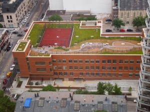 Green roof on an elementary school makes a great classroom