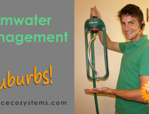 Stormwater Management in the Suburbs