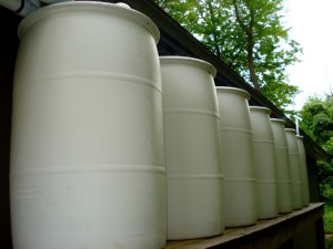55-gallon rain barrels