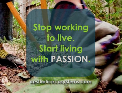 Stop working to live.  Start living with PASSION.
