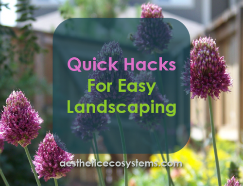 Quick Hacks for Easy Landscaping
