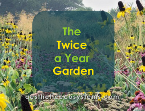 The Twice a Year Garden
