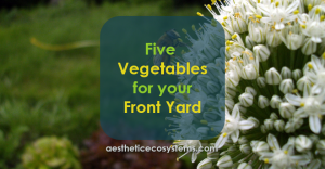 Five Vegetables for your Front Yard