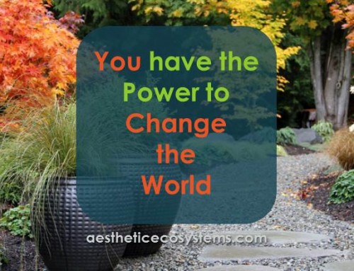You have the power to change the world