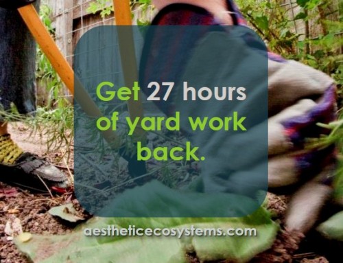 How to save MASSIVE time on yard work!