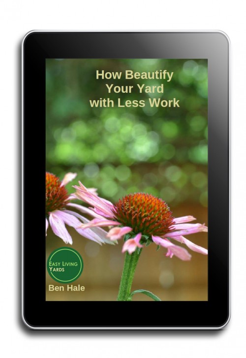 How to beautify your yard with less work ebook cover