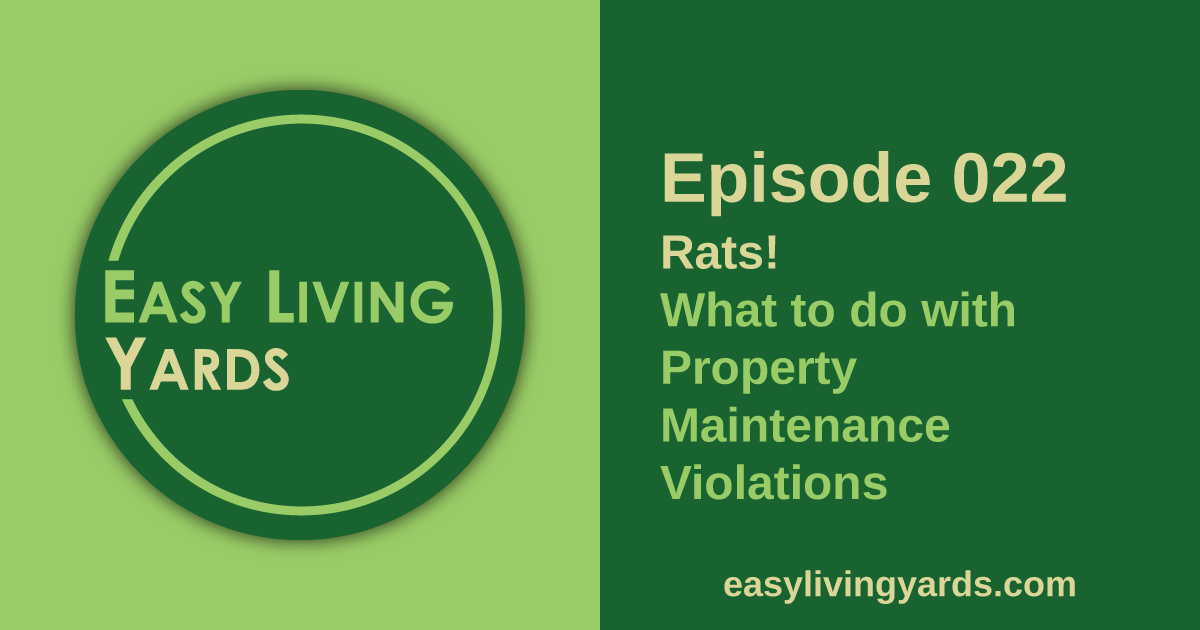 Episode 22 - What to do with property maintenance and HOA violations
