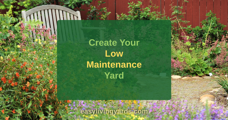 Create your low maintenance yard
