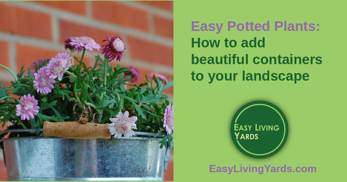 Easy Container Gardening