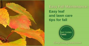 ELY 036 - Fall maintenance tips