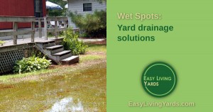 Wet spots: yard drainage solutions