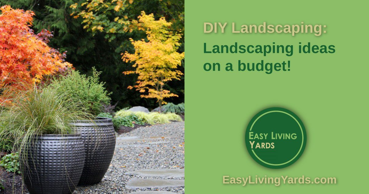 Landscaping ideas on a budget for DIY landscaping