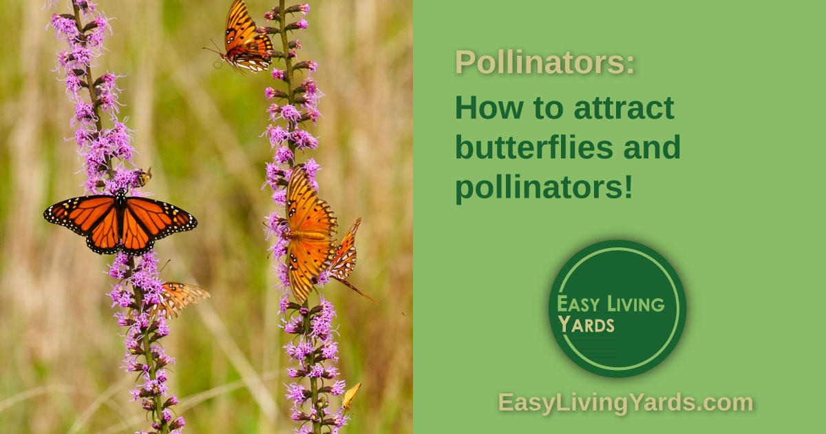 Pollinator gardens and butterfly gardens