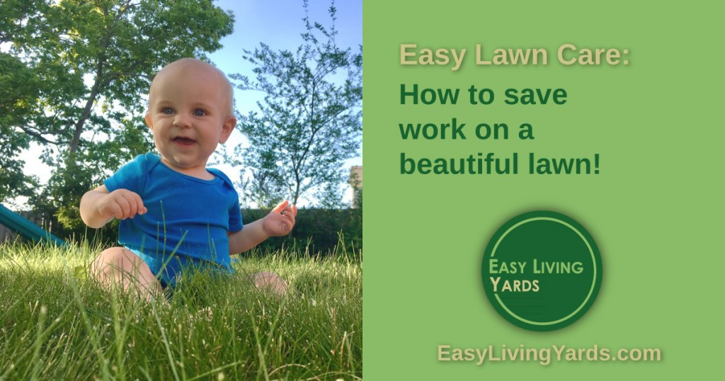 easy lawn care