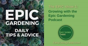 Low maintenance landscaping with Epic Gardening