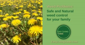 Natural way to kill weeds