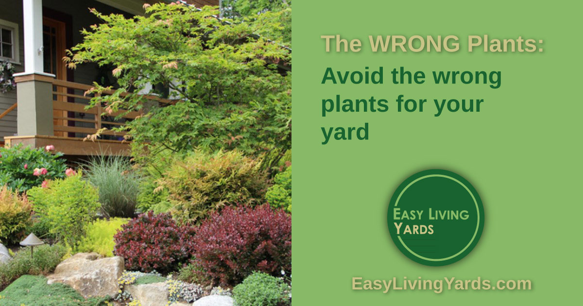 How to find the best plants for your yard by avoiding the wrong plants.