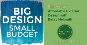 Big Design Small Budget