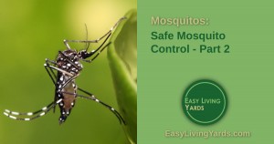 Safe mosquito control - part 2
