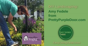 DIY Landscaping ideas with Amy Fedele from Pretty Purple Door