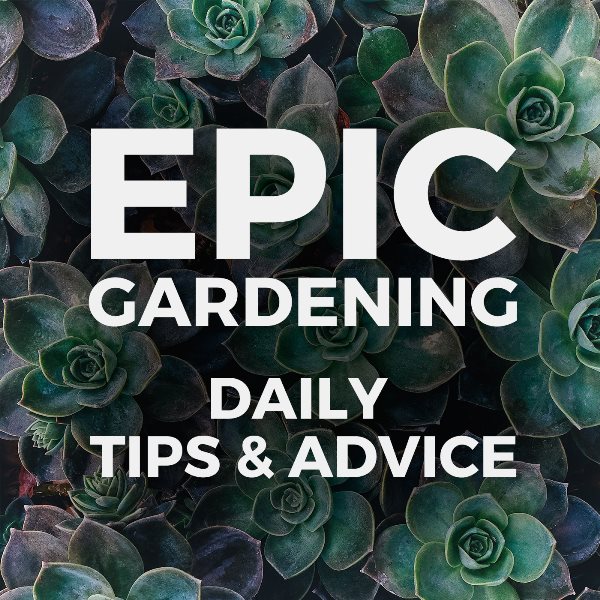 Epic Gardening with Kevin Espiritu