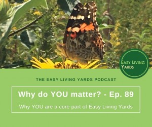 Why do you matter and what does it mean for low maintenance landscaping?