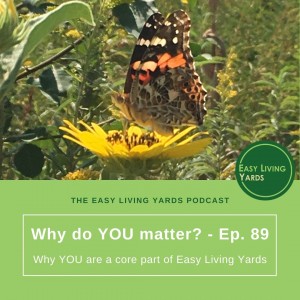 Why do you matter and what does it mean for low maintenance landscaping?