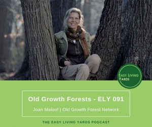 ELY091 - Joan Maloof of the Old Growth Forest Network