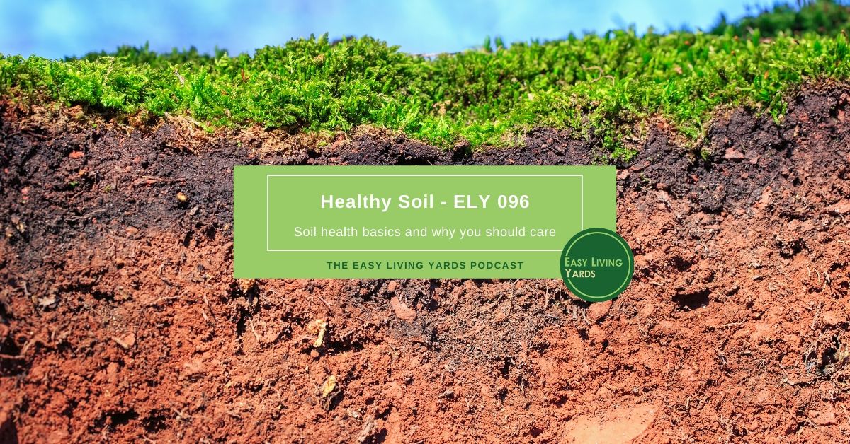 Healthy soil and soil health