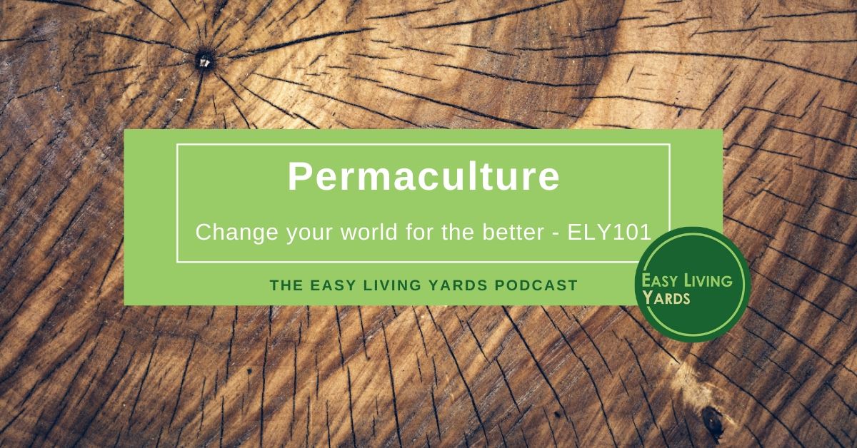 Permaculture - ELY 101