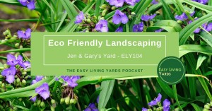 Eco Friendly Landscaping Ideas