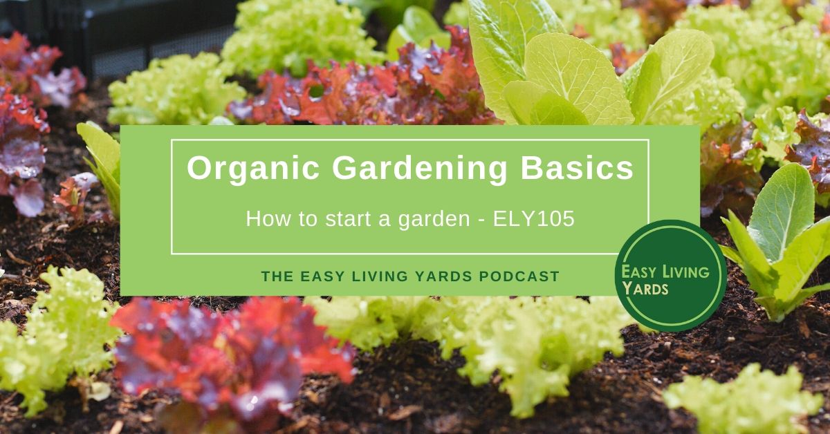 Organic Gardening How To Start A Garden Easy Living Yards