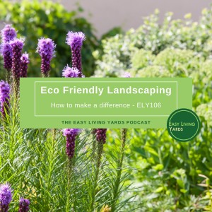 How to start Eco Friendly Landscaping