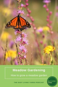 Meadow gardening - how to create a prairie garden