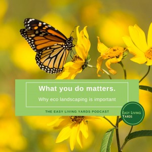 Ecological Landscaping - Why you matter