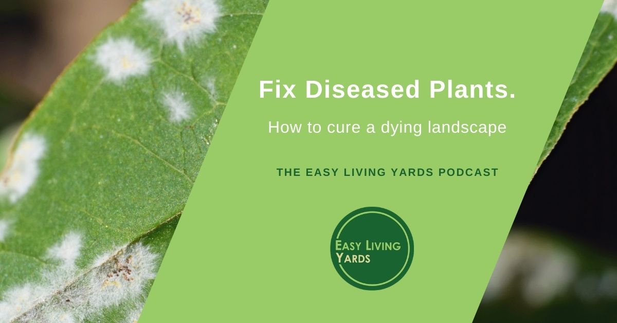 ELY008-Plant Diseases and what to do