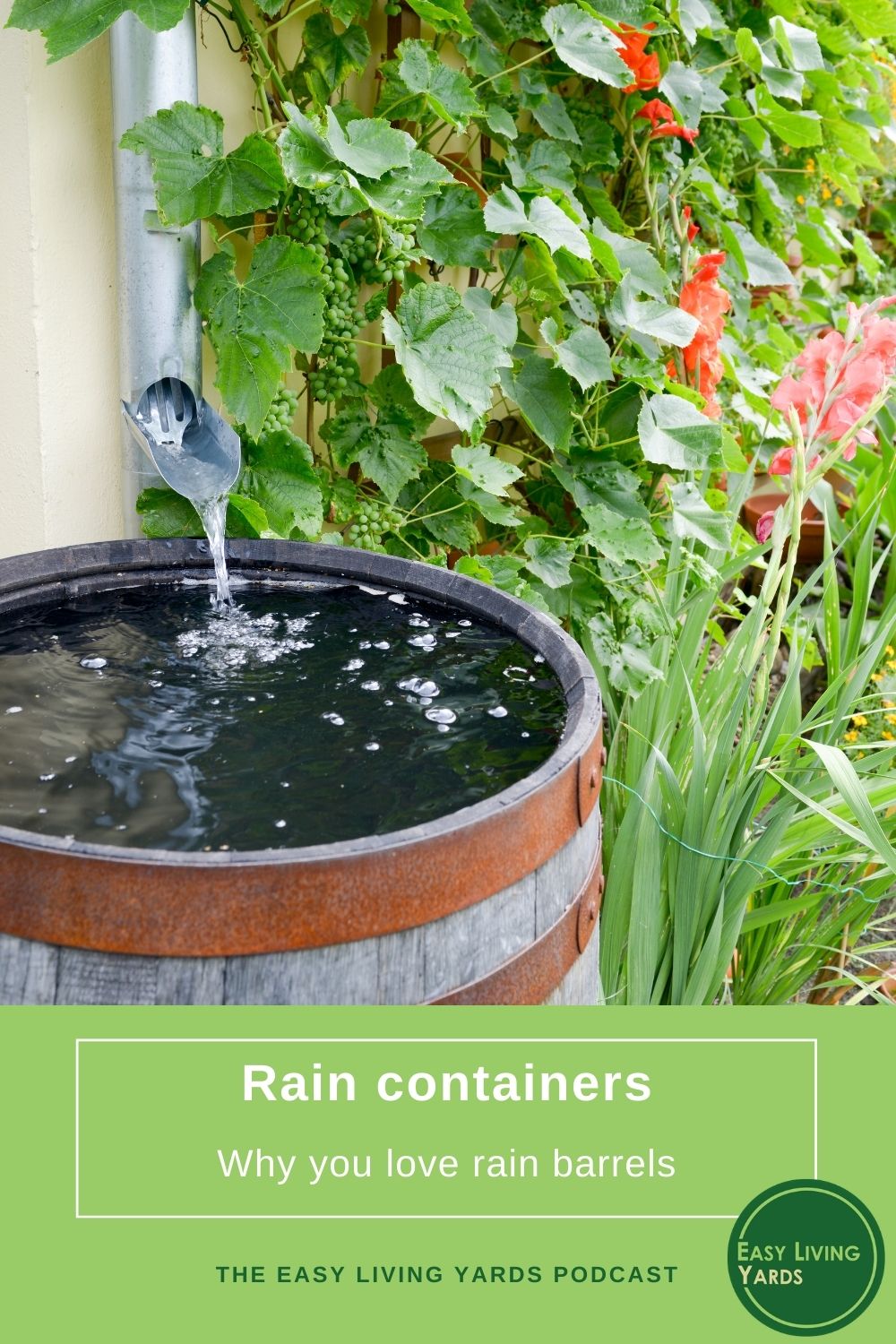 Rain barrels – ELY episode 110