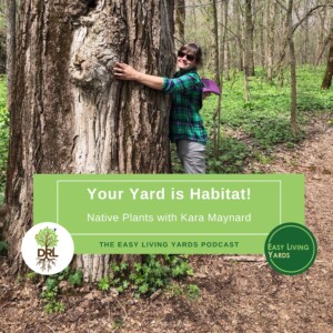 Your Yard is Habitat with Kara Maynard of Deeply Rooted Landscapes