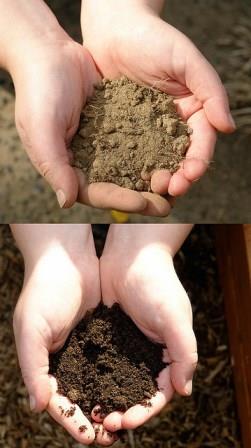Converting dirt into soil through proper care.