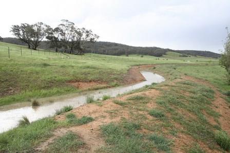 A well-designed agricultural swale