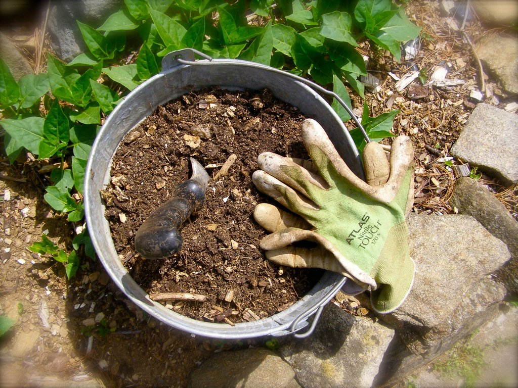 compost bucket soil amendment